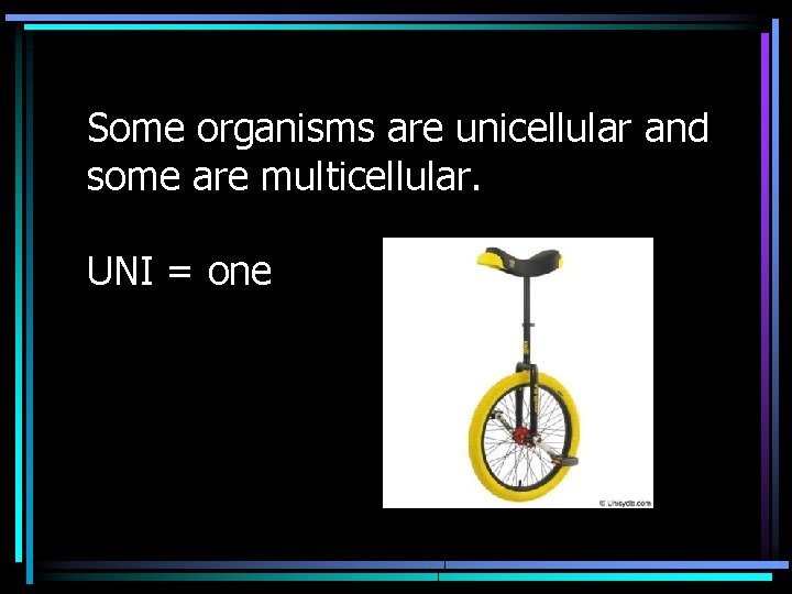 Some organisms are unicellular and some are multicellular. UNI = one 