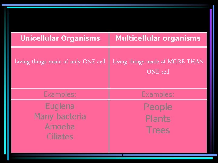 Unicellular Organisms Multicellular organisms Living things made of only ONE cell Living things made