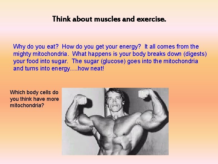 Think about muscles and exercise. Why do you eat? How do you get your