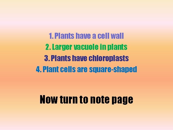 1. Plants have a cell wall 2. Larger vacuole in plants 3. Plants have