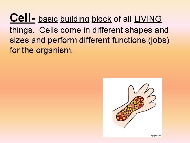 Cell- basic building block of all LIVING things. Cells come in different shapes and