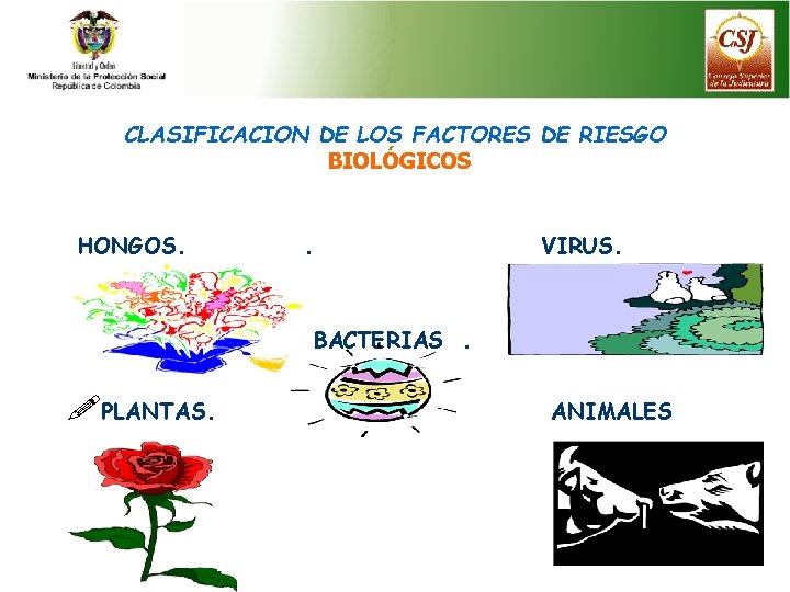 CLASIFICACION DE LOS FACTORES DE RIESGO BIOLÓGICOS HONGOS. . VIRUS. BACTERIAS. !PLANTAS. ANIMALES 