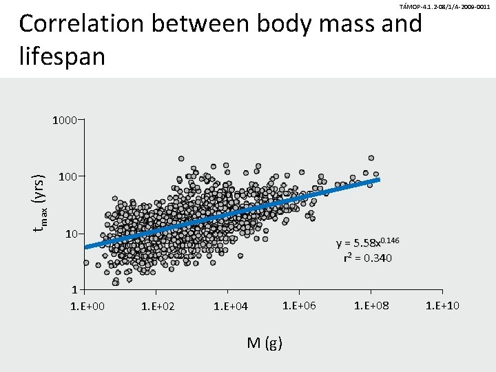 TÁMOP-4. 1. 2 -08/1/A-2009 -0011 Correlation between body mass and lifespan tmax (yrs) 1000