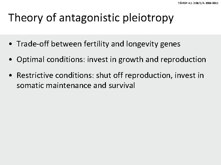 TÁMOP-4. 1. 2 -08/1/A-2009 -0011 Theory of antagonistic pleiotropy • Trade-off between fertility and