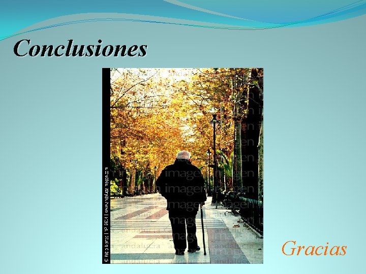 Conclusiones Gracias 