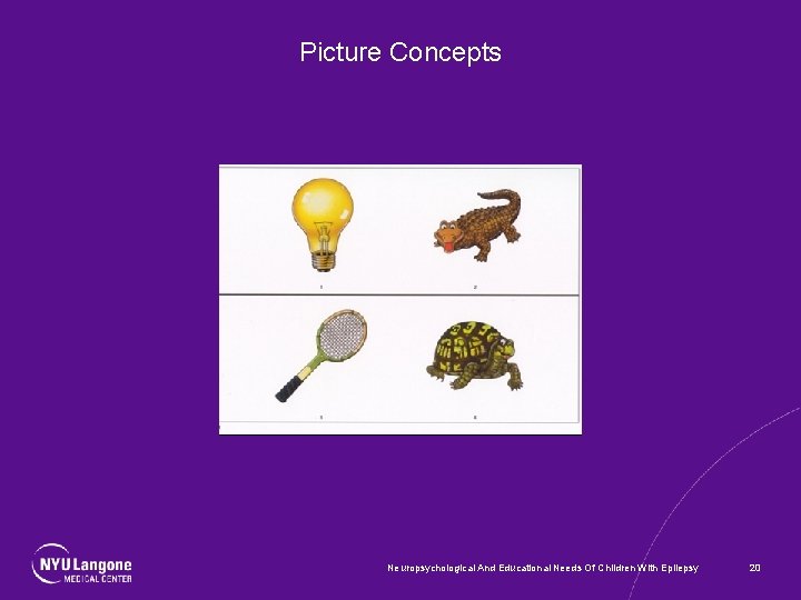 Picture Concepts Neuropsychological And Educational Needs Of Children With Epilepsy 20 