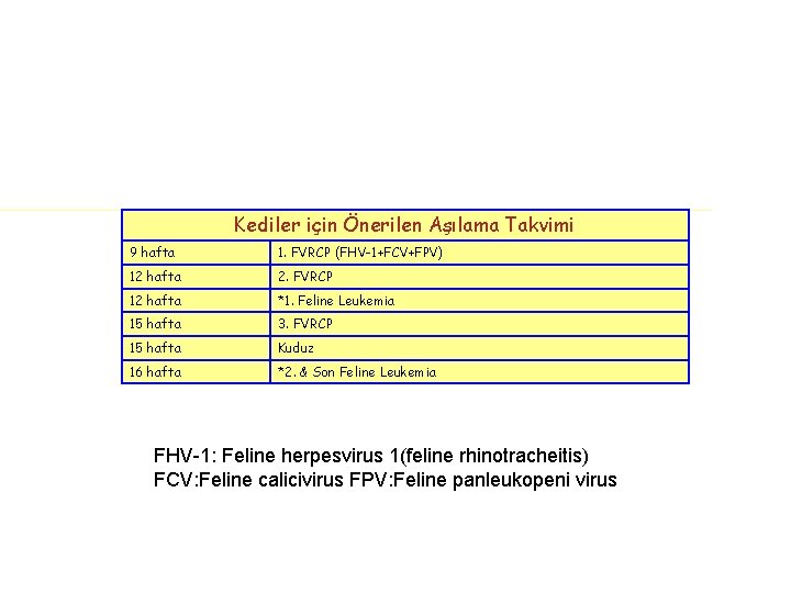 Kediler için Önerilen Aşılama Takvimi 9 hafta 1. FVRCP (FHV-1+FCV+FPV) 12 hafta 2. FVRCP