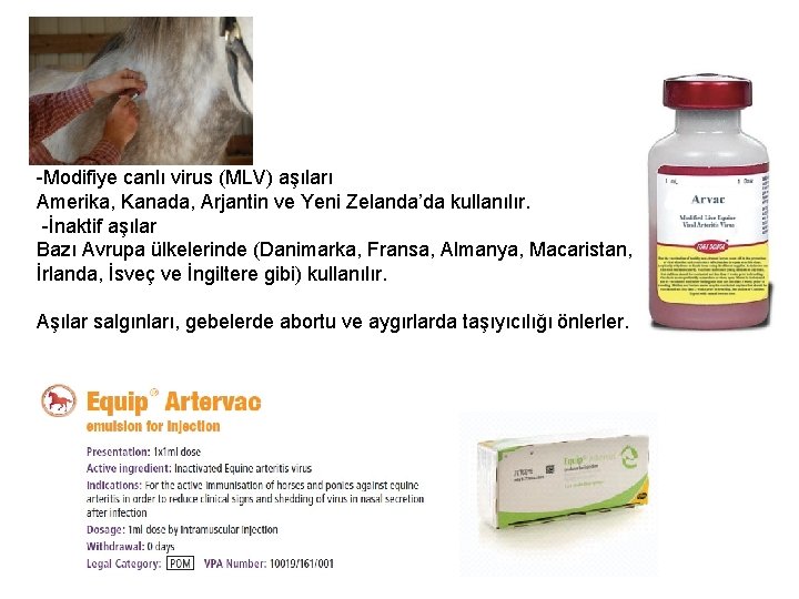 -Modifiye canlı virus (MLV) aşıları Amerika, Kanada, Arjantin ve Yeni Zelanda’da kullanılır. -İnaktif aşılar