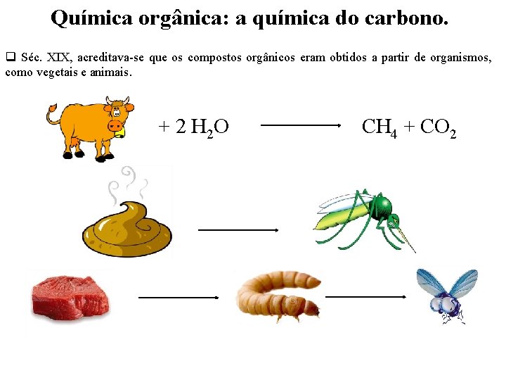 Química orgânica: a química do carbono. q Séc. XIX, acreditava-se que os compostos orgânicos