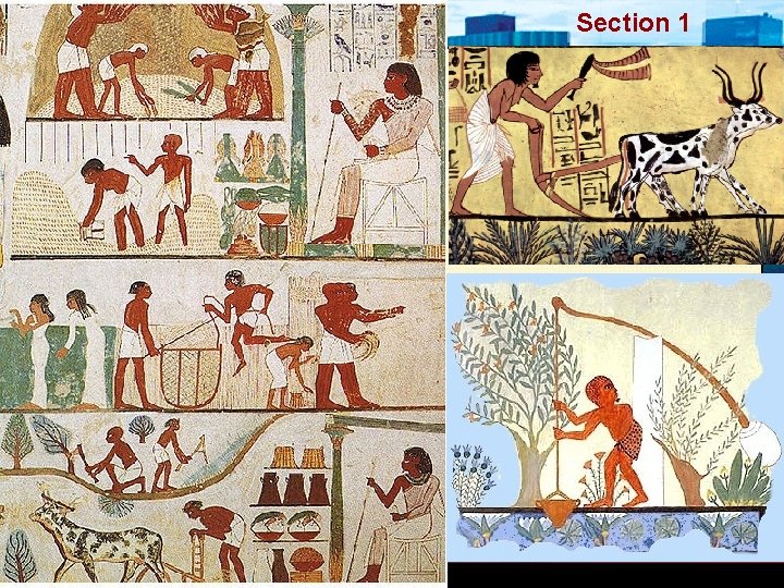 Nile Civilizations Section 1 Nile Civilizations Section 1