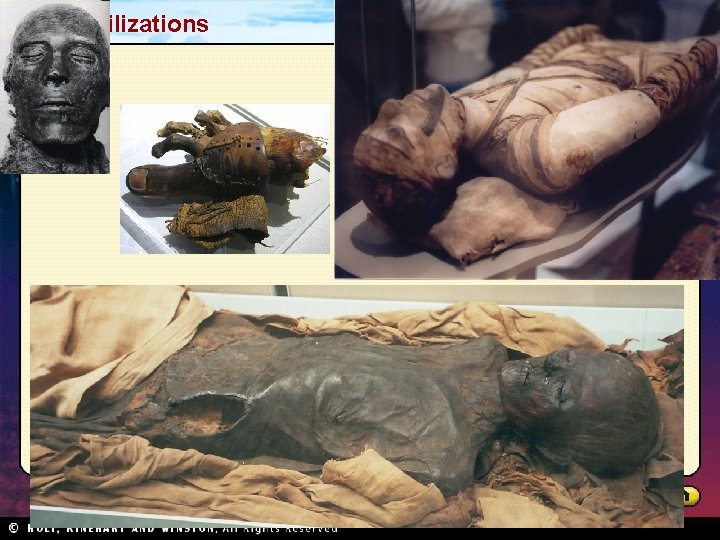Nile Civilizations Section 1 Nile Civilizations Section 1