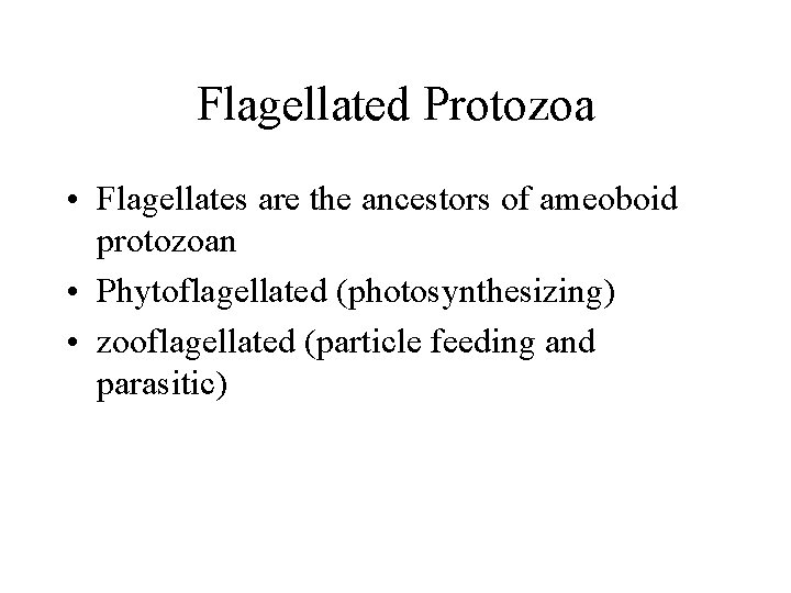 Flagellated Protozoa • Flagellates are the ancestors of ameoboid protozoan • Phytoflagellated (photosynthesizing) •