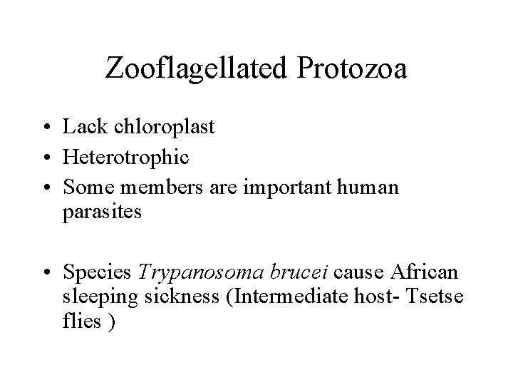 Zooflagellated Protozoa • Lack chloroplast • Heterotrophic • Some members are important human parasites