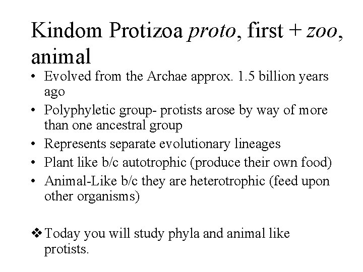 Kindom Protizoa proto, first + zoo, animal • Evolved from the Archae approx. 1.