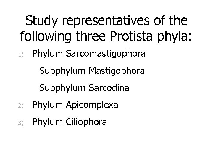 Study representatives of the following three Protista phyla: 1) Phylum Sarcomastigophora Subphylum Mastigophora Subphylum