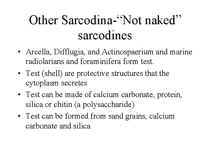 Other Sarcodina-“Not naked” sarcodines • Arcella, Difflugia, and Actinospaerium and marine radiolarians and foraminifera