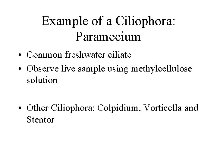 Example of a Ciliophora: Paramecium • Common freshwater ciliate • Observe live sample using