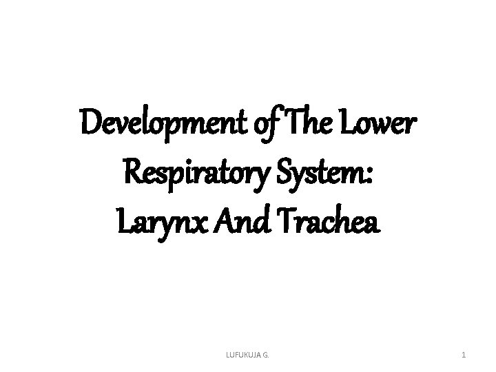 Development of The Lower Respiratory System: Larynx And Trachea LUFUKUJA G. 1 Development of The Lower Respiratory System: Larynx And Trachea LUFUKUJA G. 1