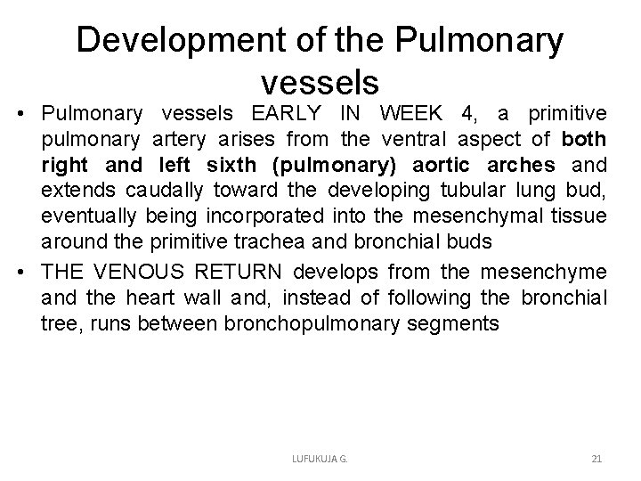 Development of the Pulmonary vessels • Pulmonary vessels EARLY IN WEEK 4, a primitive Development of the Pulmonary vessels • Pulmonary vessels EARLY IN WEEK 4, a primitive