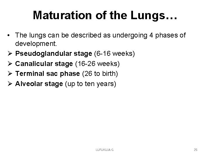 Maturation of the Lungs… • The lungs can be described as undergoing 4 phases Maturation of the Lungs… • The lungs can be described as undergoing 4 phases