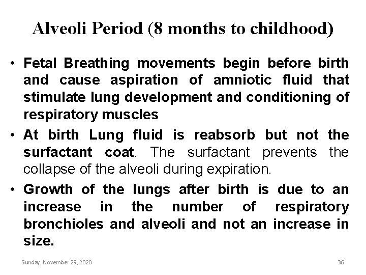Alveoli Period (8 months to childhood) • Fetal Breathing movements begin before birth and Alveoli Period (8 months to childhood) • Fetal Breathing movements begin before birth and