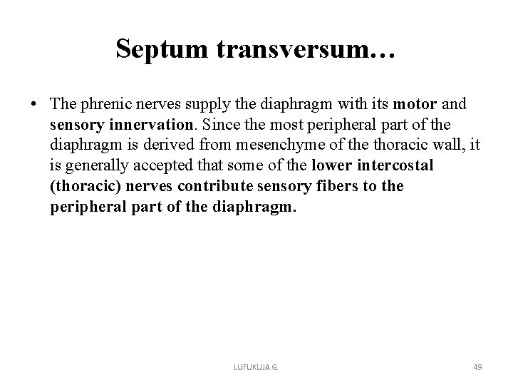 Septum transversum… • The phrenic nerves supply the diaphragm with its motor and sensory Septum transversum… • The phrenic nerves supply the diaphragm with its motor and sensory
