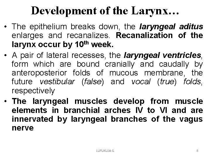 Development of the Larynx… • The epithelium breaks down, the laryngeal aditus enlarges and Development of the Larynx… • The epithelium breaks down, the laryngeal aditus enlarges and