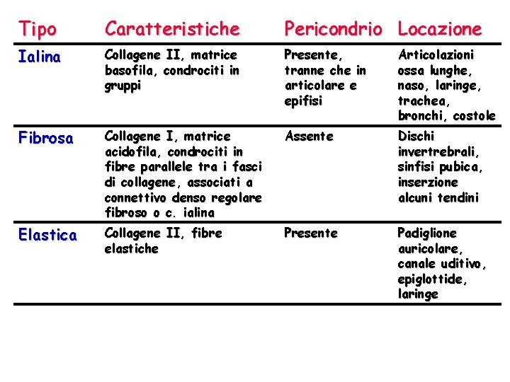 Tipo Caratteristiche Pericondrio Locazione Ialina Collagene II, matrice basofila, condrociti in gruppi Presente, tranne