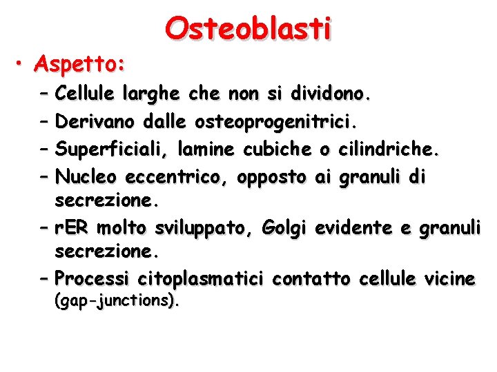  • Aspetto: Osteoblasti – Cellule larghe che non si dividono. – Derivano dalle