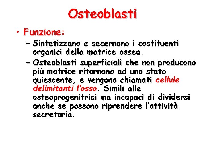 Osteoblasti • Funzione: – Sintetizzano e secernono i costituenti organici della matrice ossea. –