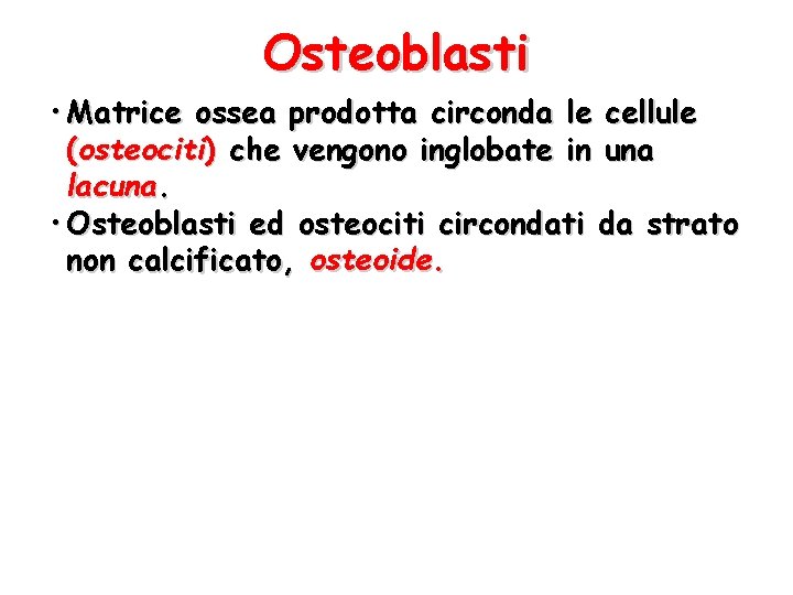 Osteoblasti • Matrice ossea prodotta circonda le cellule (osteociti) che vengono inglobate in una
