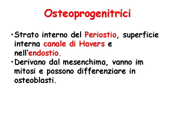 Osteoprogenitrici • Strato interno del Periostio, superficie interna canale di Havers e nell’endostio. •