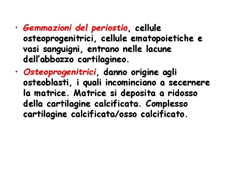  • Gemmazioni del periostio, cellule osteoprogenitrici, cellule ematopoietiche e vasi sanguigni, entrano nelle