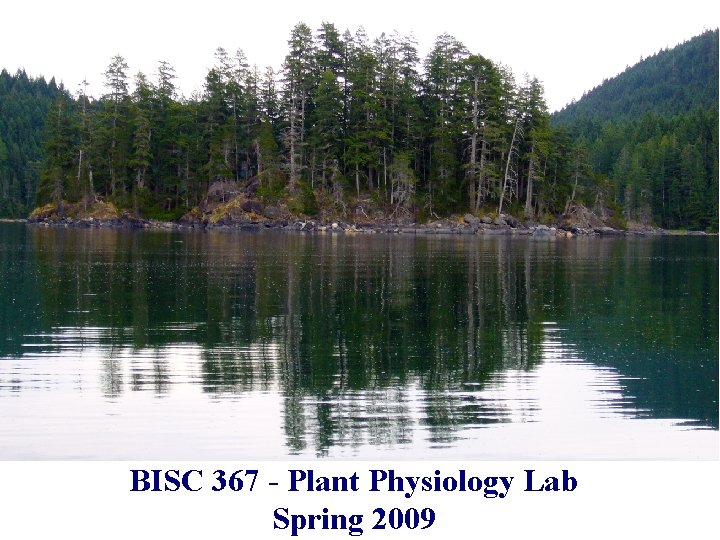 Plant Biology Fall 2006 BISC 367 - Plant Physiology Lab Spring 2009 