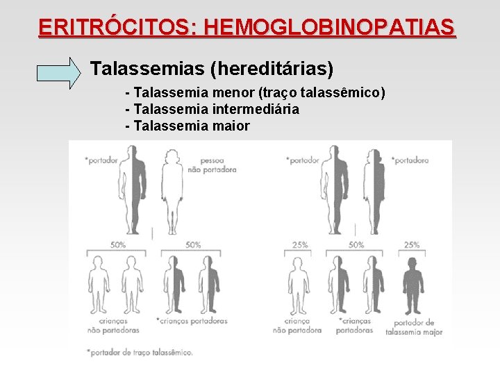 ERITRÓCITOS: HEMOGLOBINOPATIAS Talassemias (hereditárias) - Talassemia menor (traço talassêmico) - Talassemia intermediária - Talassemia ERITRÓCITOS: HEMOGLOBINOPATIAS Talassemias (hereditárias) - Talassemia menor (traço talassêmico) - Talassemia intermediária - Talassemia