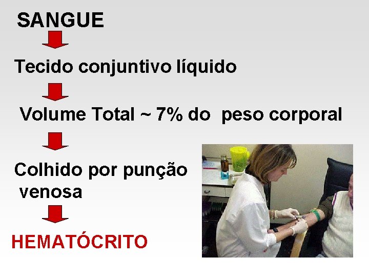SANGUE Tecido conjuntivo líquido Volume Total ~ 7% do peso corporal Colhido por punção SANGUE Tecido conjuntivo líquido Volume Total ~ 7% do peso corporal Colhido por punção