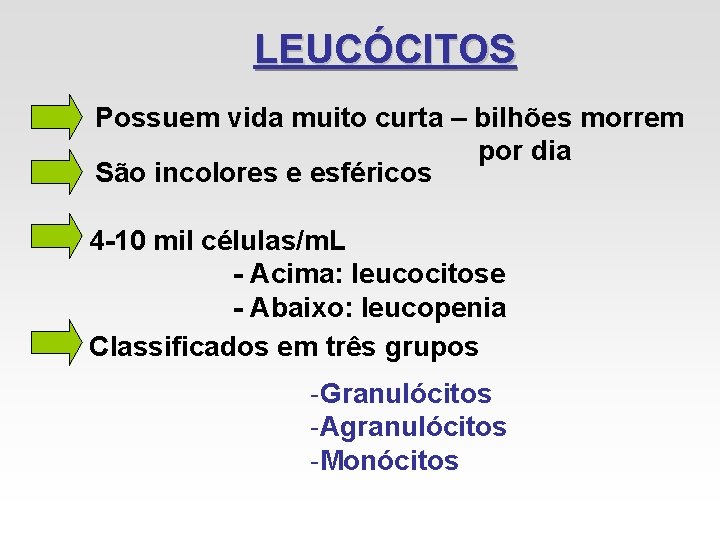 LEUCÓCITOS Possuem vida muito curta – bilhões morrem por dia São incolores e esféricos LEUCÓCITOS Possuem vida muito curta – bilhões morrem por dia São incolores e esféricos