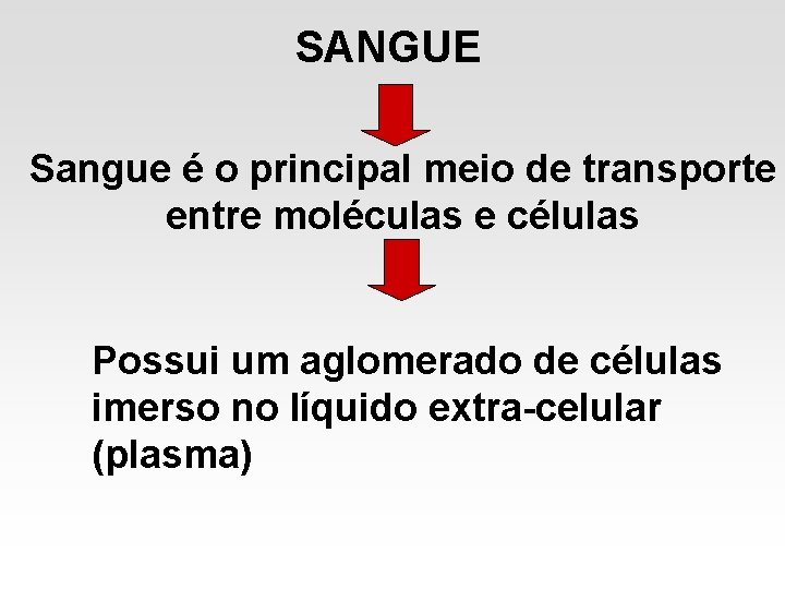 SANGUE Sangue é o principal meio de transporte entre moléculas e células Possui um SANGUE Sangue é o principal meio de transporte entre moléculas e células Possui um