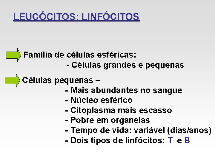 LEUCÓCITOS: LINFÓCITOS Família de células esféricas: - Células grandes e pequenas Células pequenas – LEUCÓCITOS: LINFÓCITOS Família de células esféricas: - Células grandes e pequenas Células pequenas –