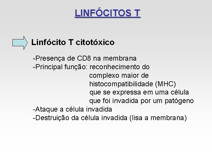 LINFÓCITOS T Linfócito T citotóxico -Presença de CD 8 na membrana -Principal função: reconhecimento LINFÓCITOS T Linfócito T citotóxico -Presença de CD 8 na membrana -Principal função: reconhecimento