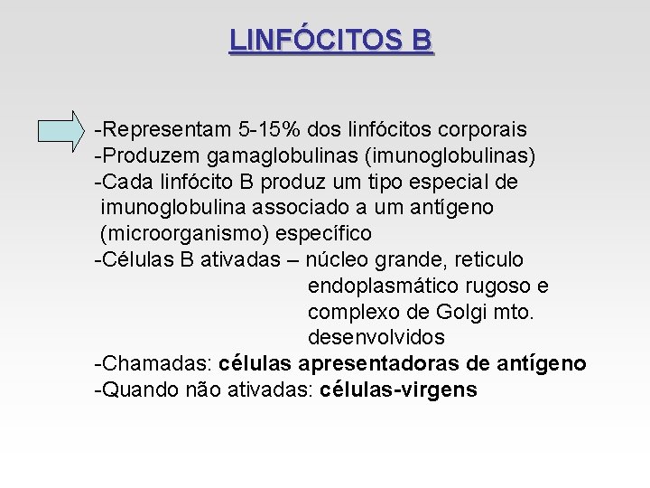 LINFÓCITOS B -Representam 5 -15% dos linfócitos corporais -Produzem gamaglobulinas (imunoglobulinas) -Cada linfócito B LINFÓCITOS B -Representam 5 -15% dos linfócitos corporais -Produzem gamaglobulinas (imunoglobulinas) -Cada linfócito B