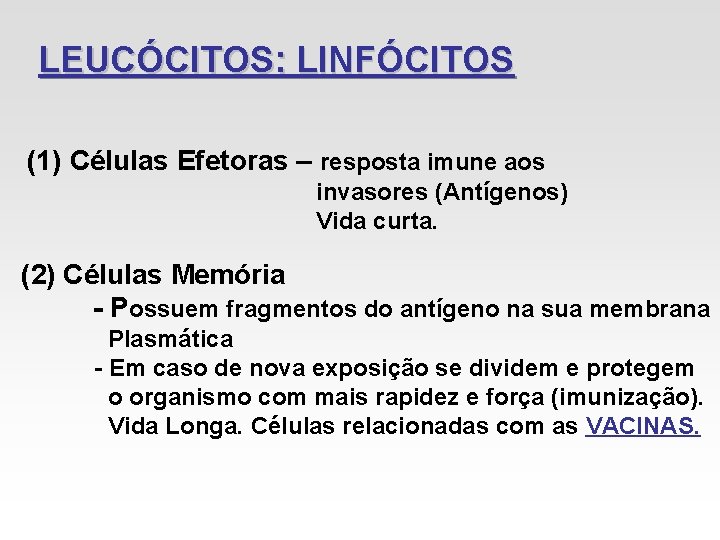 LEUCÓCITOS: LINFÓCITOS (1) Células Efetoras – resposta imune aos invasores (Antígenos) Vida curta. (2) LEUCÓCITOS: LINFÓCITOS (1) Células Efetoras – resposta imune aos invasores (Antígenos) Vida curta. (2)