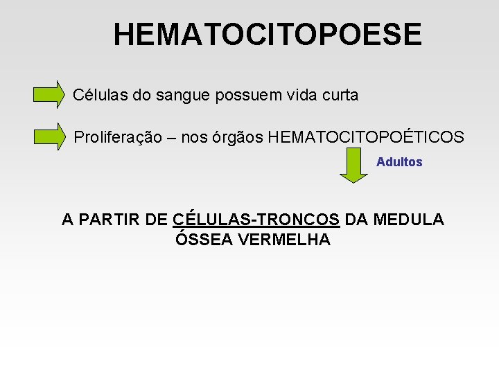 HEMATOCITOPOESE Células do sangue possuem vida curta Proliferação – nos órgãos HEMATOCITOPOÉTICOS Adultos A HEMATOCITOPOESE Células do sangue possuem vida curta Proliferação – nos órgãos HEMATOCITOPOÉTICOS Adultos A