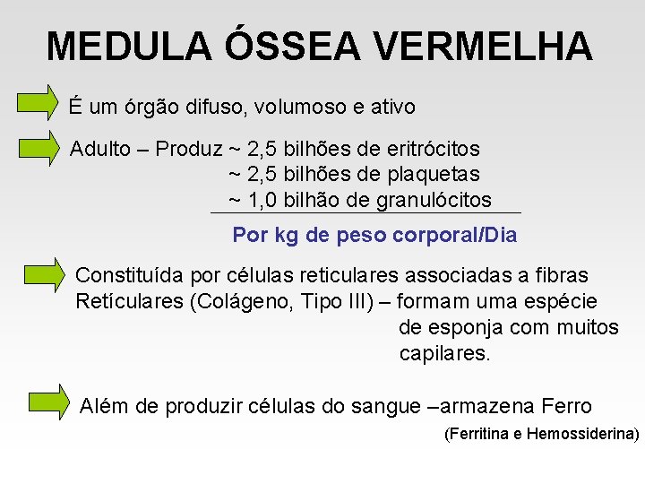 MEDULA ÓSSEA VERMELHA É um órgão difuso, volumoso e ativo Adulto – Produz ~ MEDULA ÓSSEA VERMELHA É um órgão difuso, volumoso e ativo Adulto – Produz ~