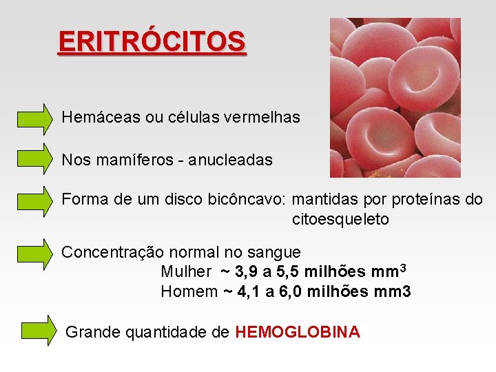 ERITRÓCITOS Hemáceas ou células vermelhas Nos mamíferos - anucleadas Forma de um disco bicôncavo: ERITRÓCITOS Hemáceas ou células vermelhas Nos mamíferos - anucleadas Forma de um disco bicôncavo: