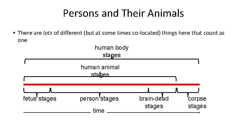Persons and Their Animals • There are lots of different (but at some times