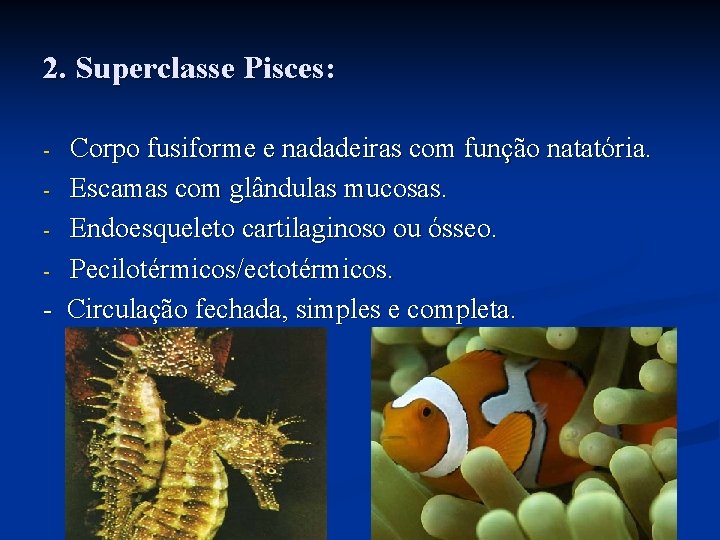 2. Superclasse Pisces: Corpo fusiforme e nadadeiras com função natatória. - Escamas com glândulas 2. Superclasse Pisces: Corpo fusiforme e nadadeiras com função natatória. - Escamas com glândulas
