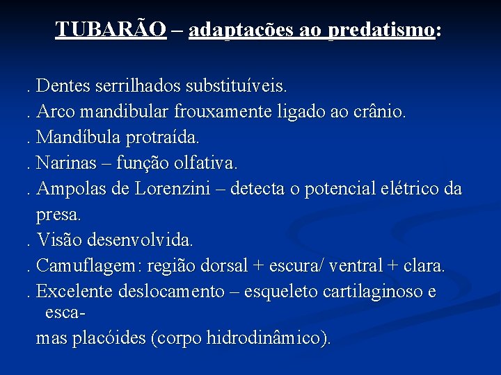 TUBARÃO – adaptações ao predatismo: . Dentes serrilhados substituíveis. . Arco mandibular frouxamente ligado TUBARÃO – adaptações ao predatismo: . Dentes serrilhados substituíveis. . Arco mandibular frouxamente ligado