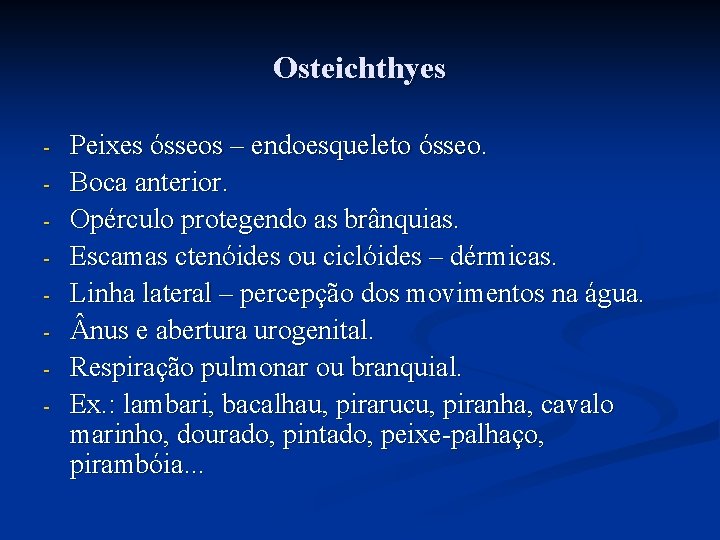 Osteichthyes - Peixes ósseos – endoesqueleto ósseo. Boca anterior. Opérculo protegendo as brânquias. Escamas Osteichthyes - Peixes ósseos – endoesqueleto ósseo. Boca anterior. Opérculo protegendo as brânquias. Escamas