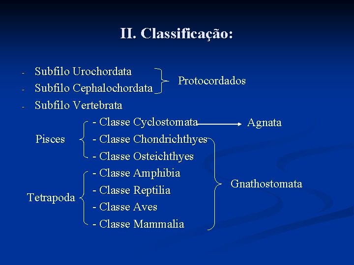 II. Classificação: Subfilo Urochordata Protocordados - Subfilo Cephalochordata - Subfilo Vertebrata - Classe Cyclostomata II. Classificação: Subfilo Urochordata Protocordados - Subfilo Cephalochordata - Subfilo Vertebrata - Classe Cyclostomata